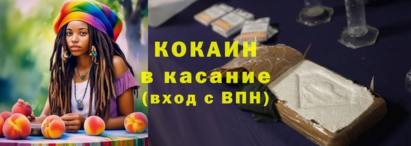 соль ск Липки