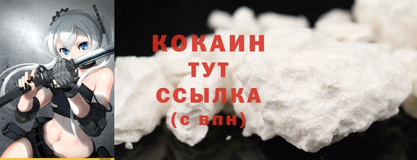соль ск Липки