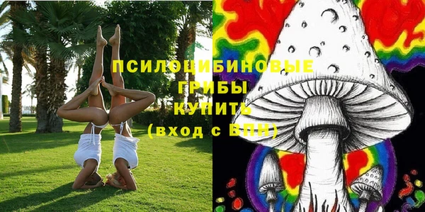 PSILOCYBIN Лагань