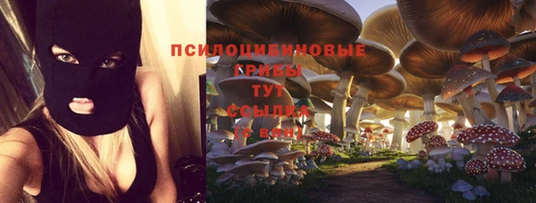 соль ск Липки