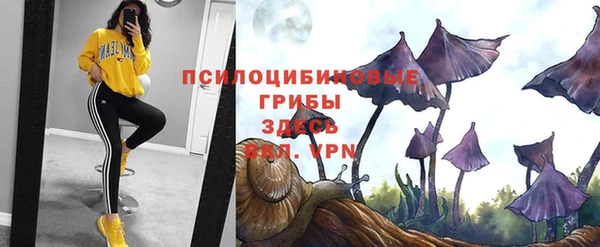 PSILOCYBIN Лагань