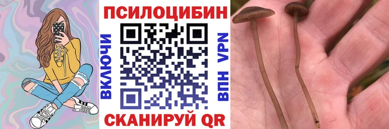 сколько стоит  Любань  Галлюциногенные грибы мухоморы 